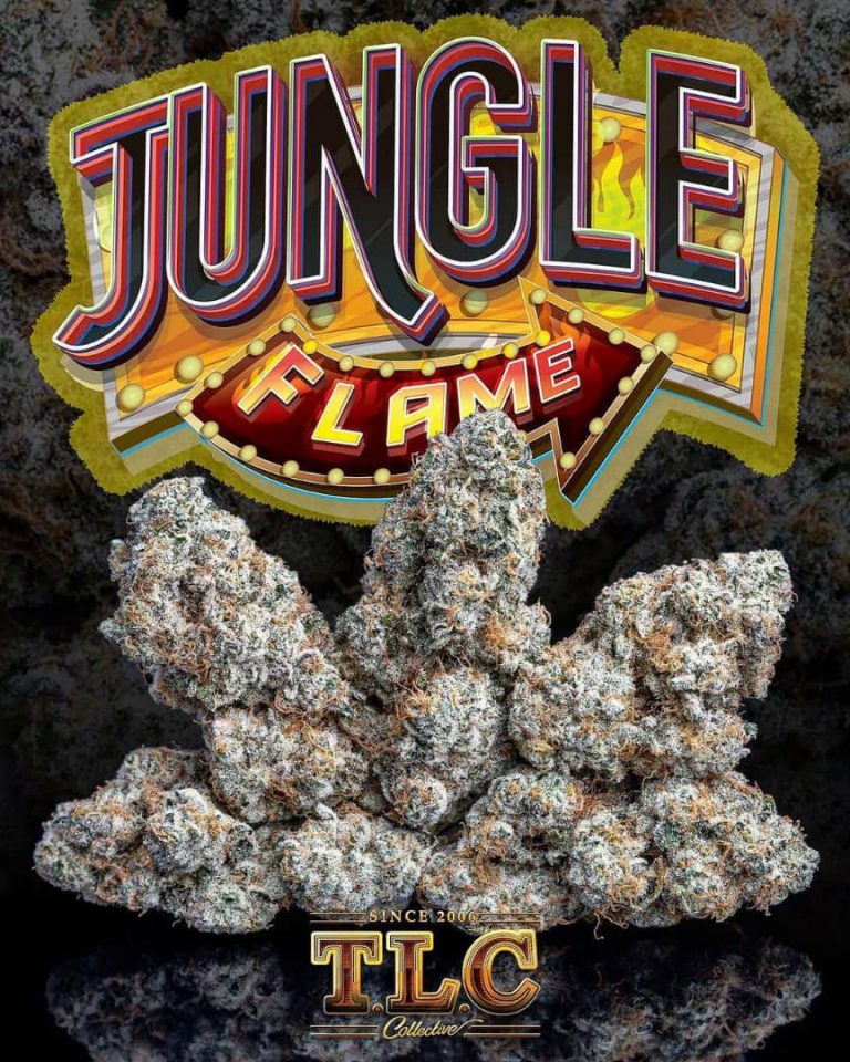 JUNGLE CAKE strain price - WeOmegaGreen just for you