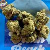 Buy Ocean Beach cookies Ocean Beach cookies strain for sale we offer you with best quality products fast and safe delivery.