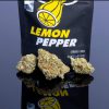 Buy Lemon Pepper strain online Alabama purchase Lemon Pepper strain mobile Alabama Lemon Pepper strain forsale Auburn Alabama.