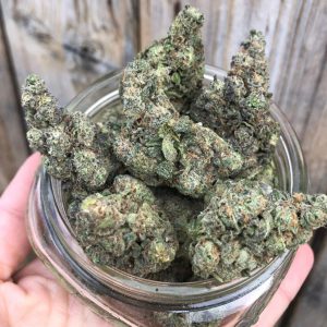 Buy Gush Mints Strain online Gusher mintz strain for sale near me at weomegagreen shop online at good prices with a discount farmer and the felon
