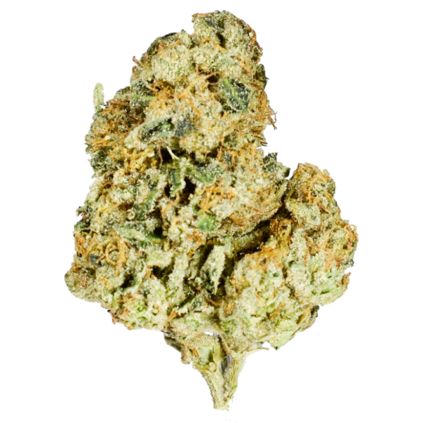 Buy cookie cake strain online from weomegagreen and get serve with the best of quality at affordable prices order cake weed cookies cake strain