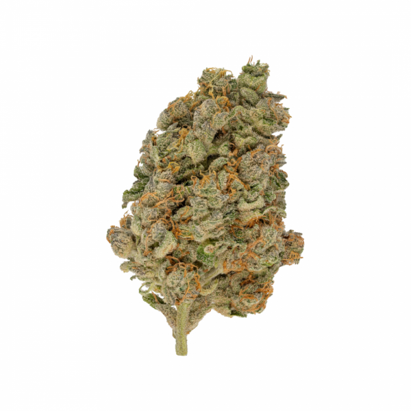 Buy Glueberry Strain online glueberry og strain for sale near me from weomegagreen shop with good rates and best quaility glue berry strain